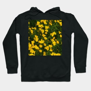 Yellow Green Bloom Photography My Hoodie